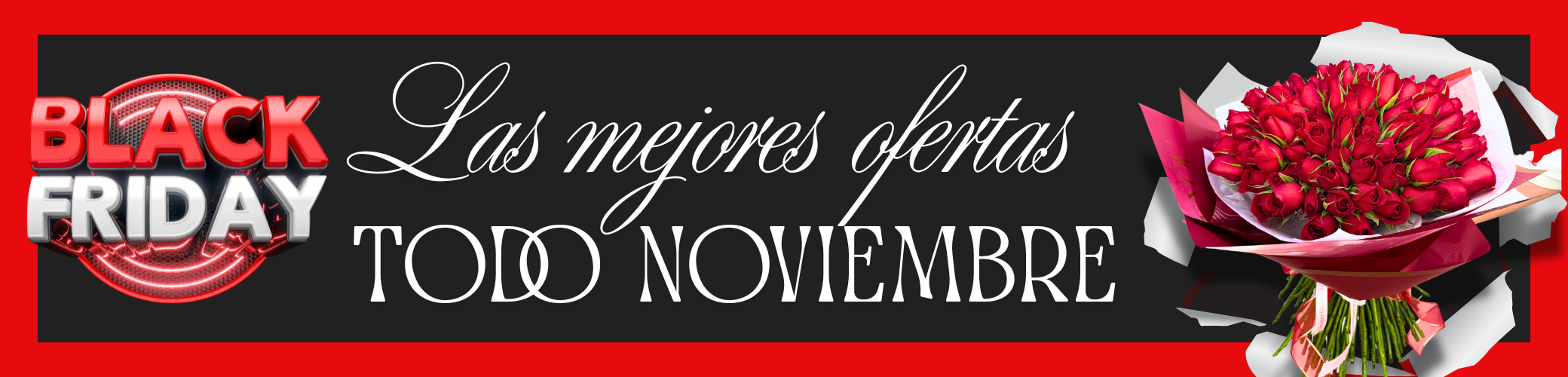 Banner Black Friday 2025